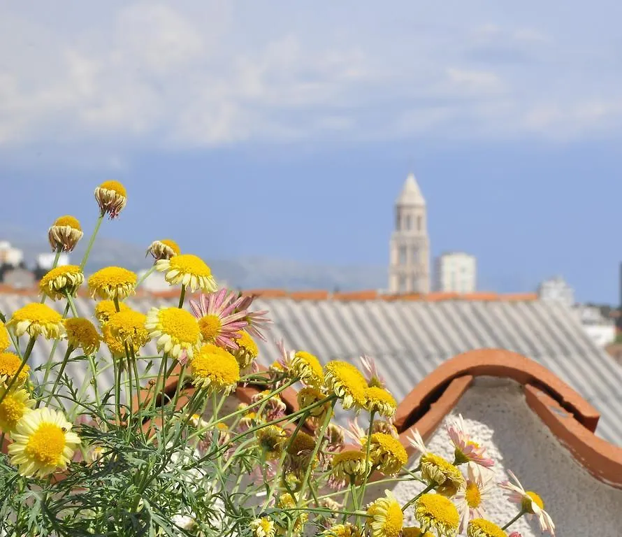 Pensión Villa Stagnja Split